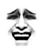 face.png