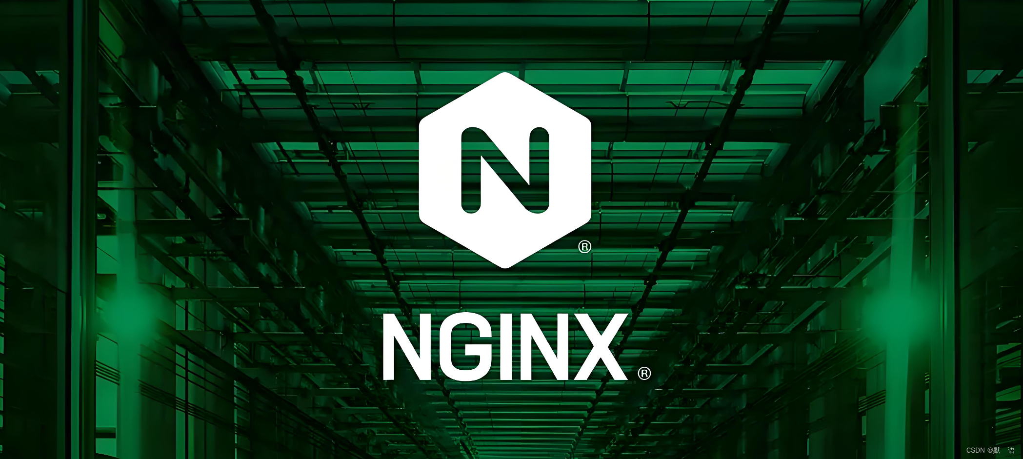 使用Nginx实现高效集群部署:前端与多个后端服务的完美结合_nginx集群部署-CSDN博客