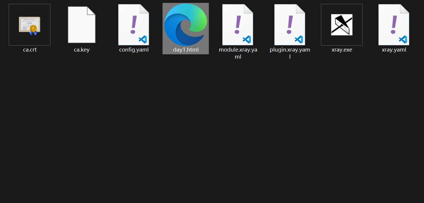Xray 安装与使用心得插图29 image-20230613005245112