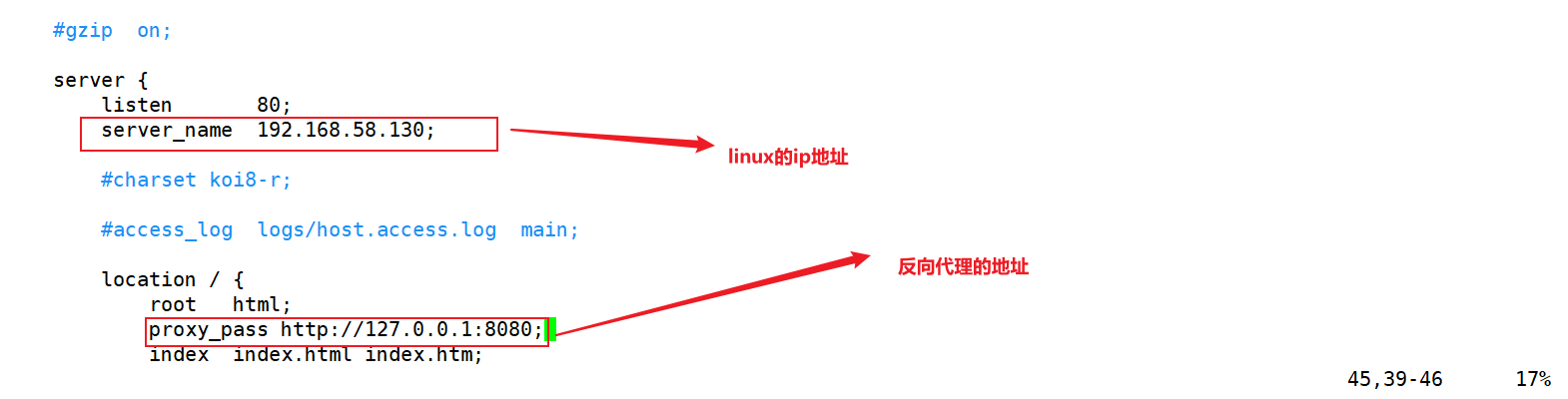 image-20210909110313430