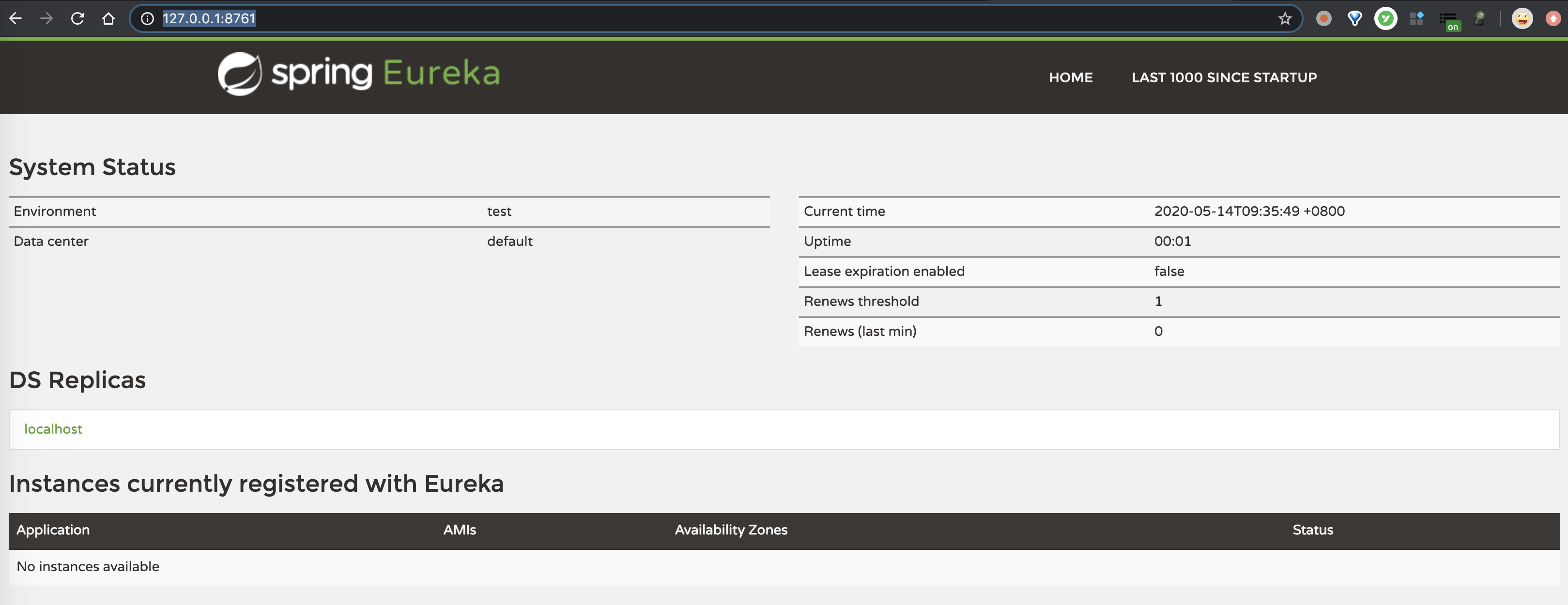 Eureka 注册中心 - 界面