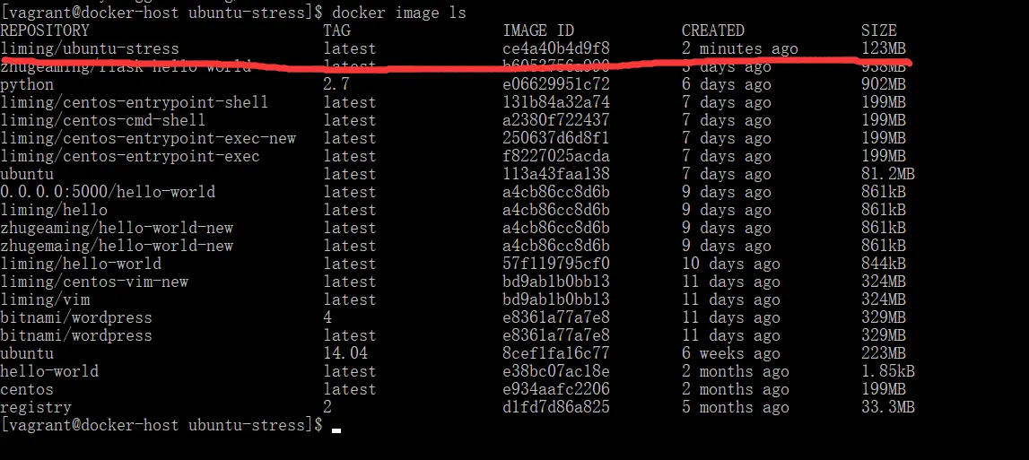 『中级篇』Dockerfile实战CMD和ENTRTYPOINT的配合（21）