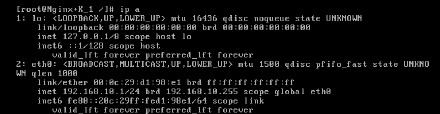 nginx+keepalived主备切换（不考虑主nginx停掉现象）