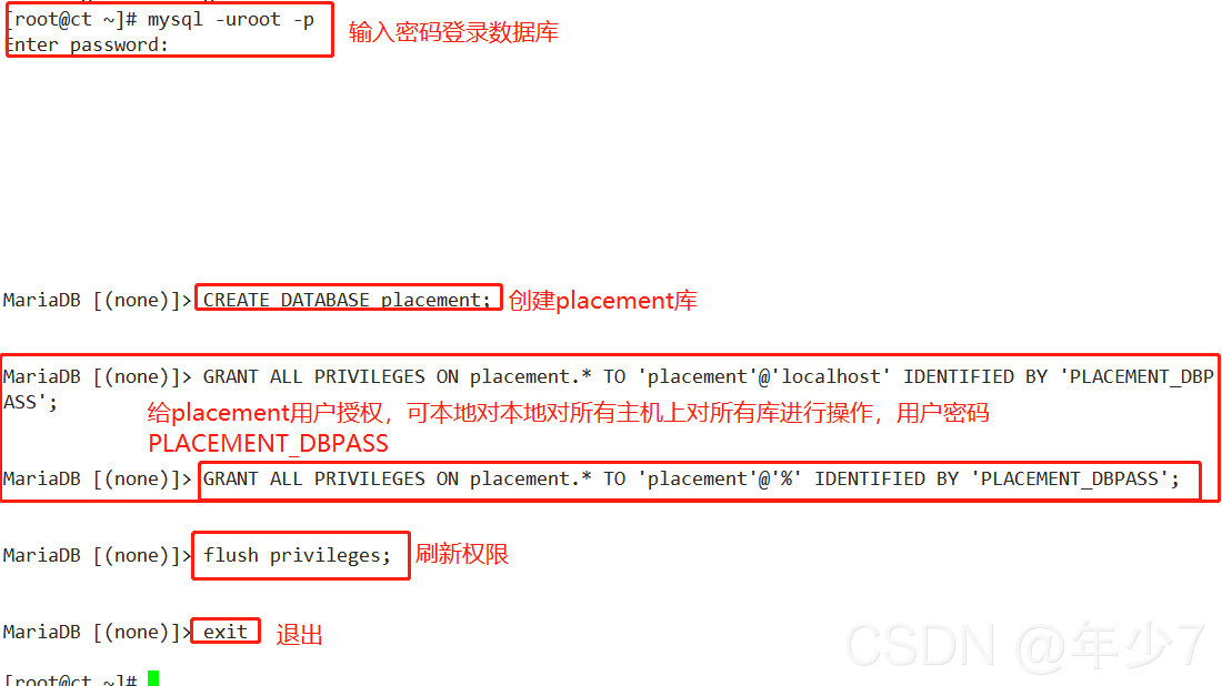 Openstack_Placement部署(t版)_placement需要部署在计算节点吗-CSDN博客