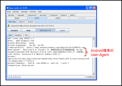 图3 使用代理工具获取HTTP请求示例