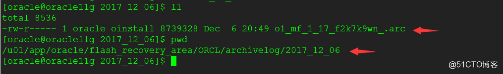 oracle 11g的归档开启和关闭