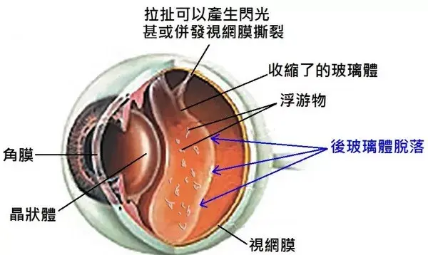 2530112-cd1c46ee2472facb.png