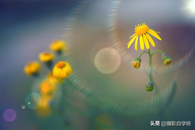 c806f2d86ddbc48ec03a7d7062bf9108.png