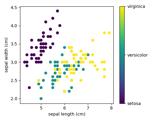 ../../_images/sphx_glr_plot_iris_scatter_001.png