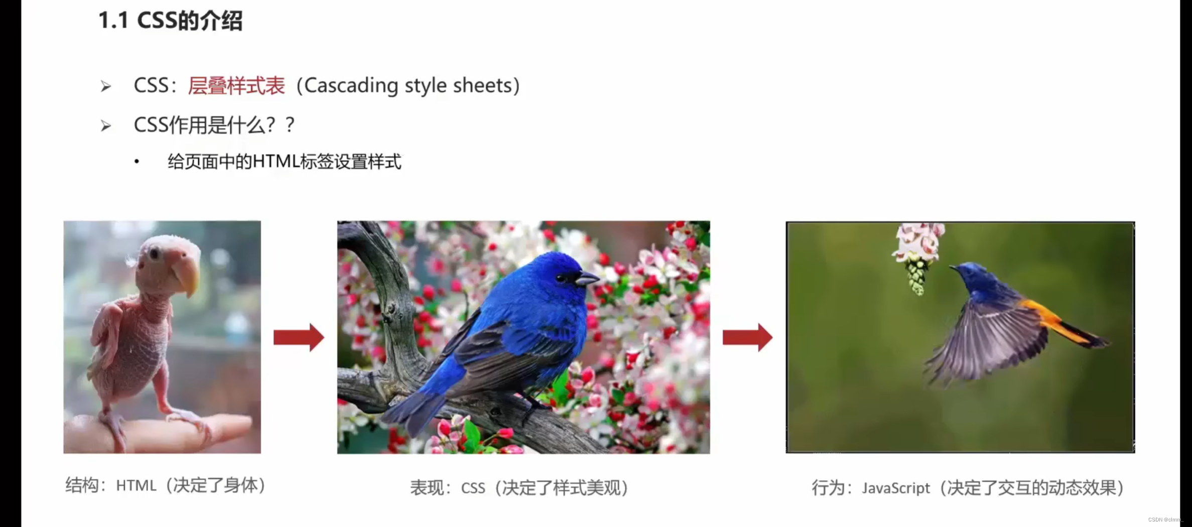 HEML+CSS超详细基础知识-CSDN博客