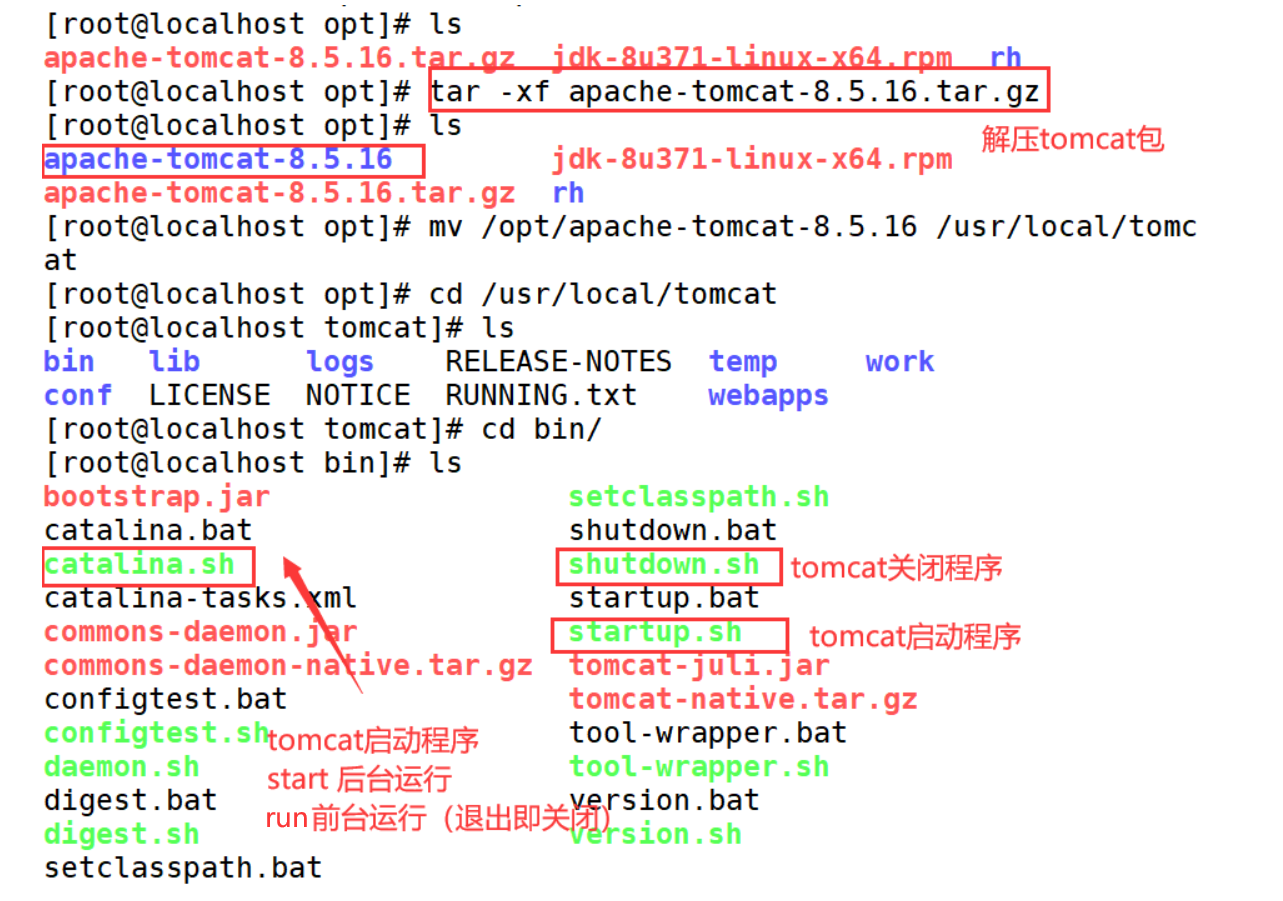 image-20230629232819353