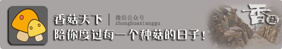 2603f8bb5841fd657aaa1f64786f93dd.png