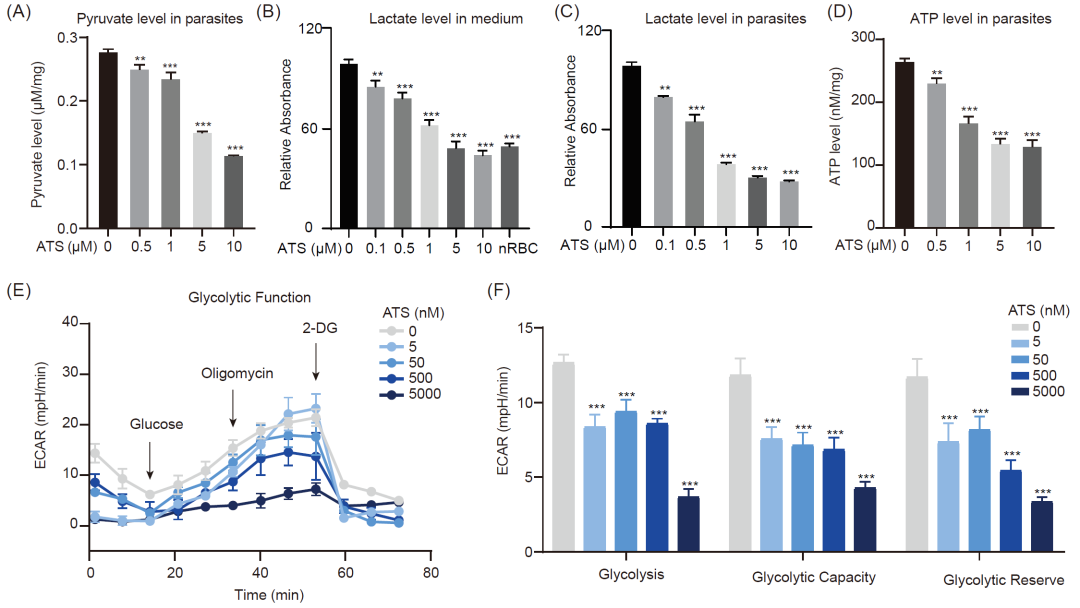 abp 统计怎么做iMeta ｜ 王继刚／戴凌云／徐承超／韩光-基于光亲和标记策略鉴定青蒿素在恶性疟原虫红细胞内期中的抗疟靶标..._https://www.jmylbn.com_新闻资讯_第7张