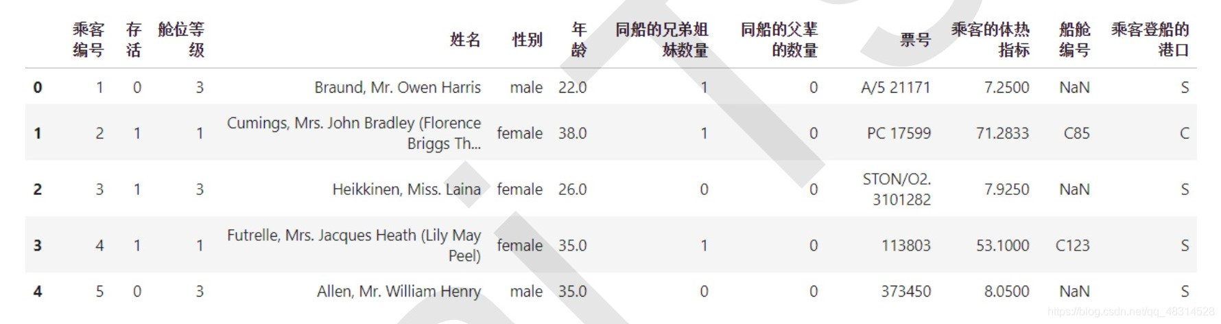 泰坦尼克号的特征
