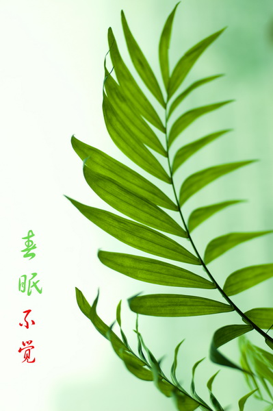 80509236a514e2680b55a9b6.jpg