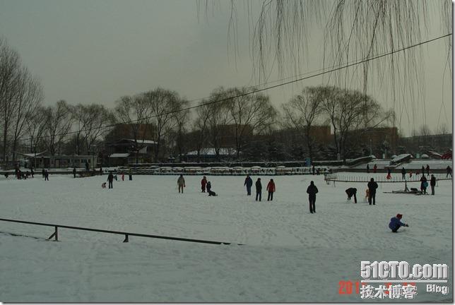 DSC02252