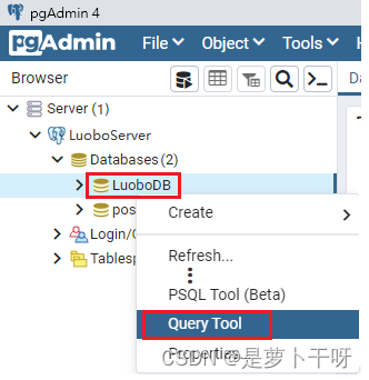 PgAdmin(PostgreSQL 数据库工具)插图27 PgAdmin(PostgreSQL 数据库工具)