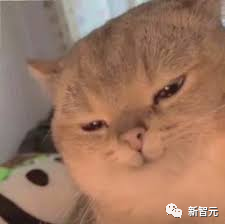 2ff75becaeb0469de9a1387365831780.png