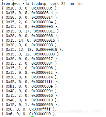 tcpdump  -dd