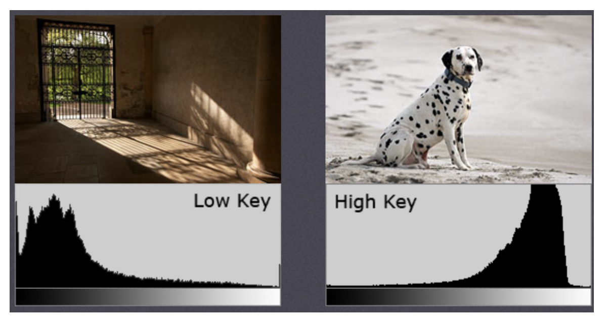 image-20240127145908136