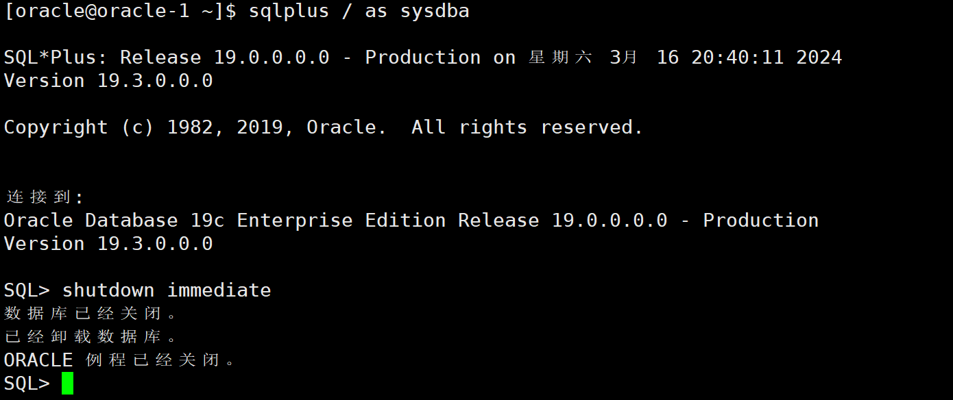 Oracle19c静默部署插图45 image-20240316204144397