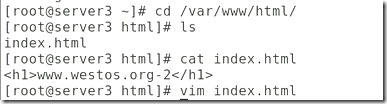 wps6C5B.tmp