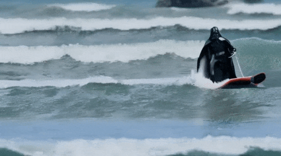05bf9e8408c72a73b12438d95b4985fa.gif