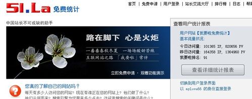 怎样查看别人网站的访问量