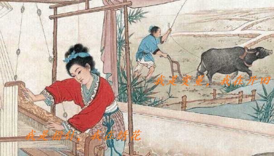 变量，还有这些秘密