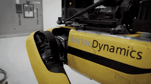 10cc99c70c3e57ac882adcdafe09ad41.gif