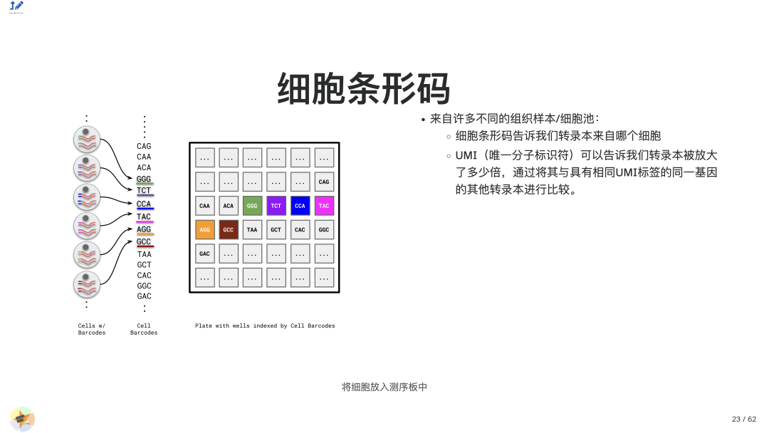 6529967470d7ede746c5eecbd9a5ddc7.png