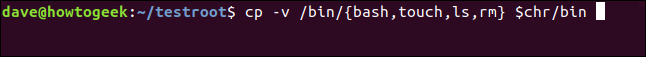 cp -v /bin/{bash,touch,ls,rm} $chr ina terminal window