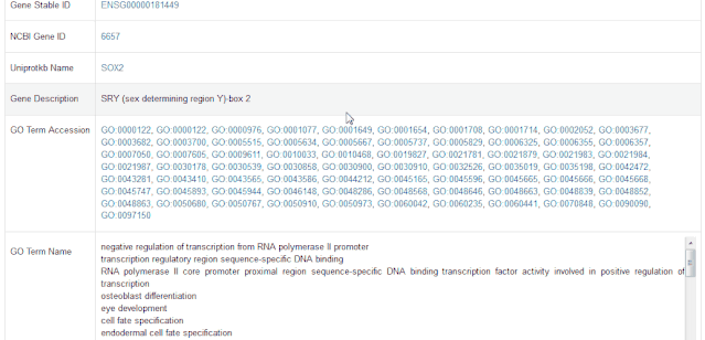 22833c1dad6aea0019b357ba3cd5bc3c.gif