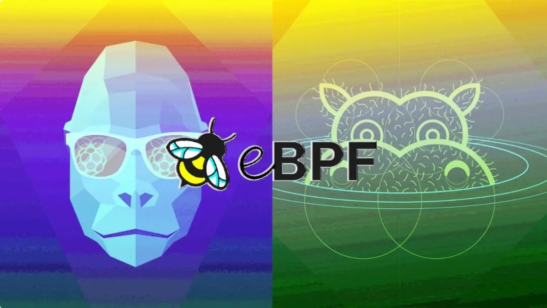 855dffa7289e190f4cbc20c2c3cac4ed.png