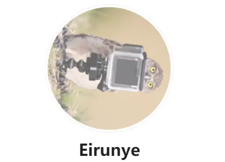 avatar-rounded-true.png