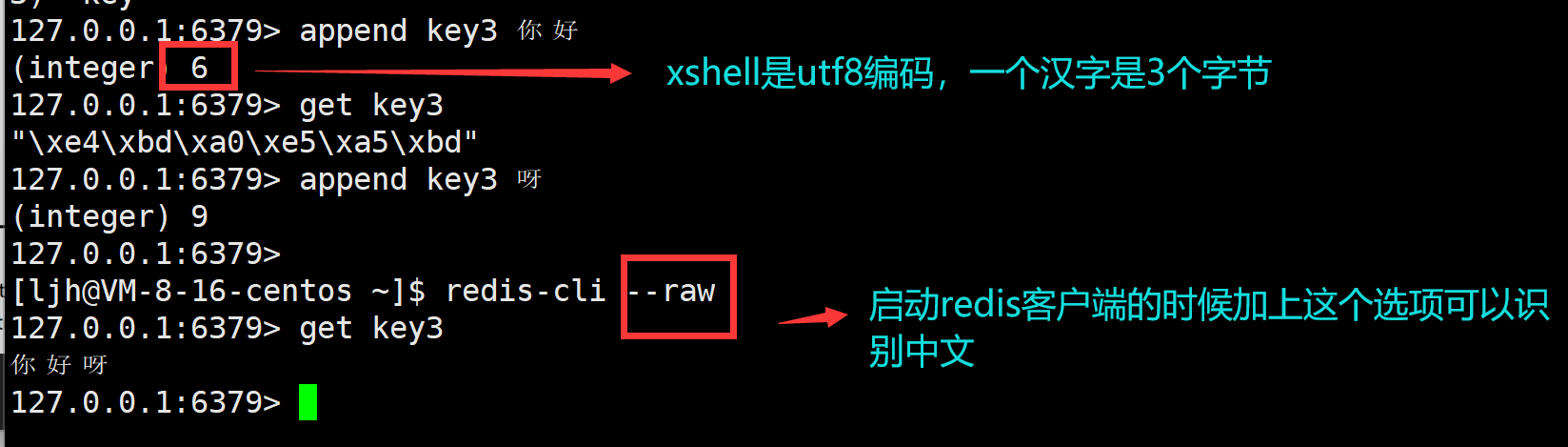 image-20240702143955675