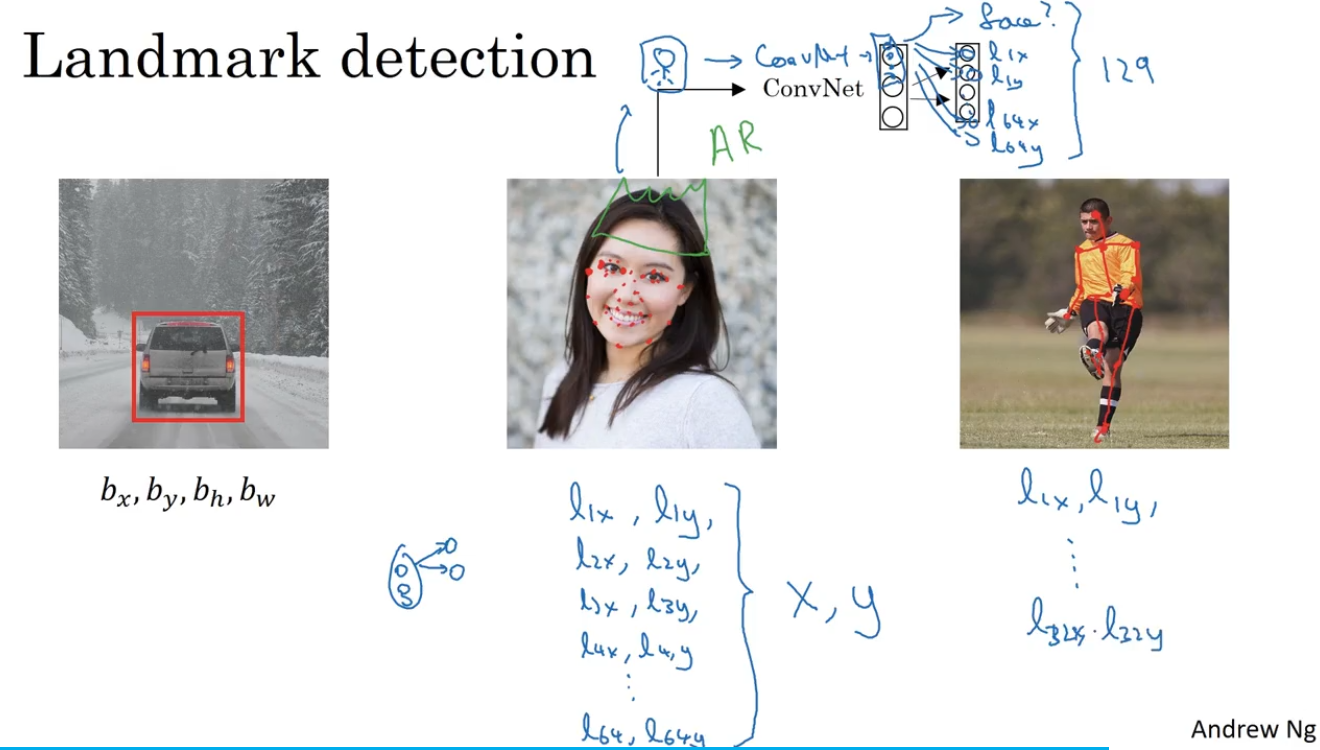 image-20221116233045590
