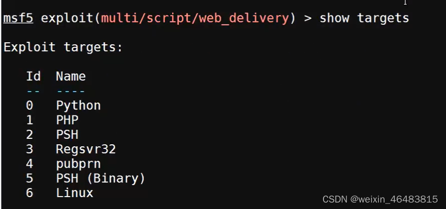 msfvenom介绍插图43 在这里插入图片描述