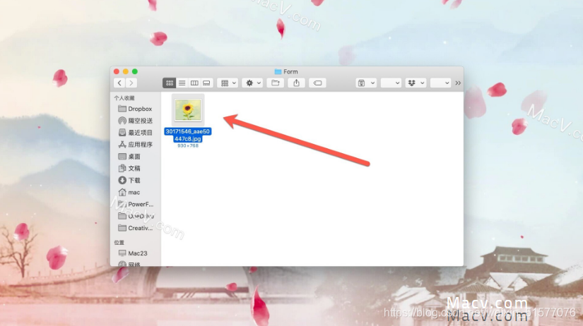 想知道如何在Mac上剪切文件吗？一定要看这篇文章！_mac如何剪切-CSDN博客