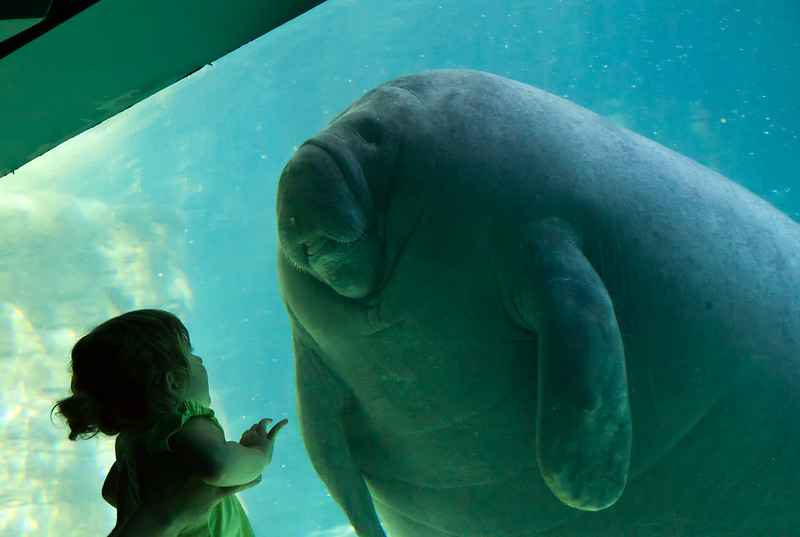 First Contact