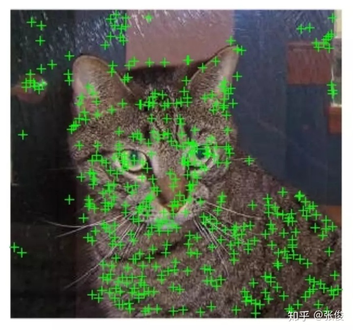 543bf02c50b42cddcb85e6aa82b49985.png