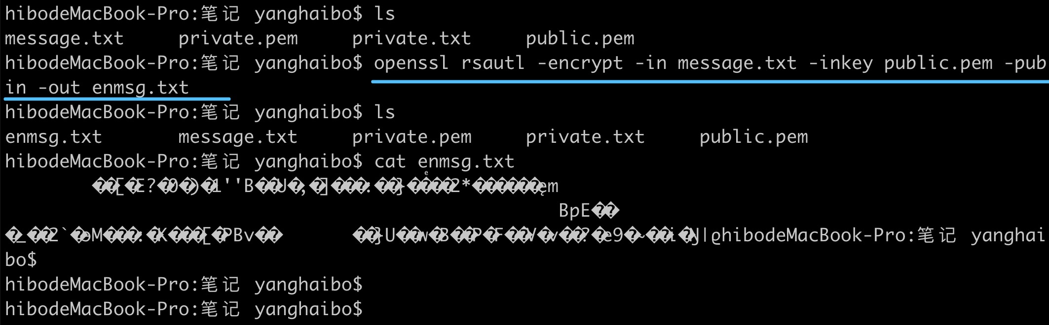 encode1.png