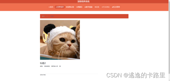 图5.6 宠物领养界面