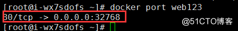 Docker 容器部署Apache静态网站