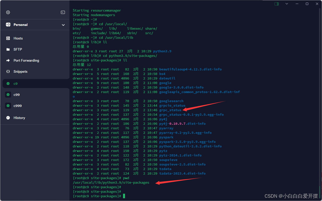 解决pyspark,SPARK-connect最后一道关grpc_status_spark-connect spark ml-CSDN博客