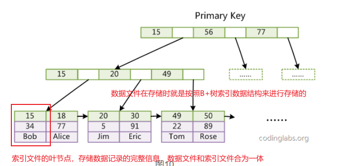image-20210824013019629