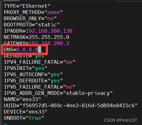 添加 DNS 服务器地址