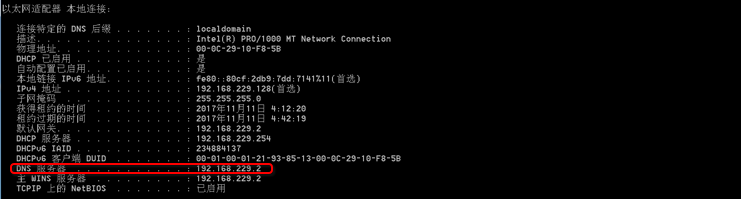 DNS